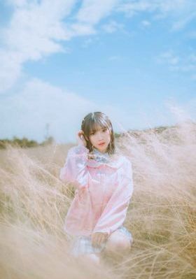 瓢虫雷迪第四季_高清电视剧在线观看